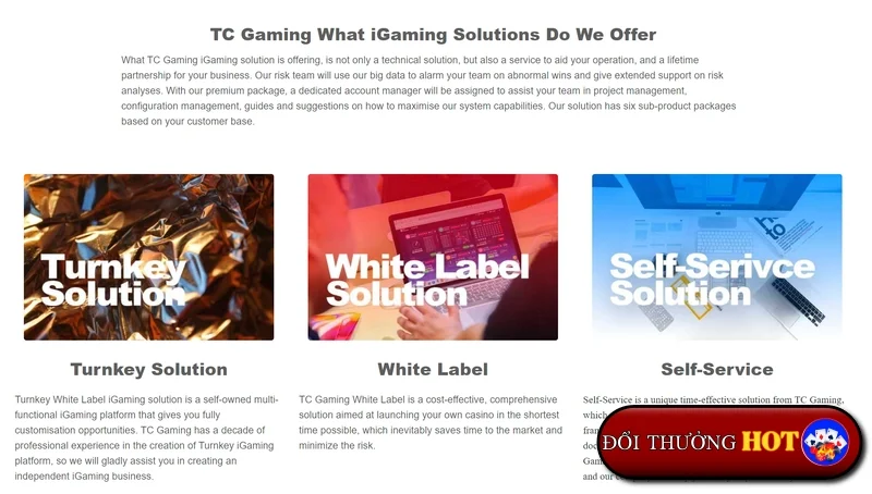 TC Gaming - Bứt Phá Mới Cho Làng iGaming Việt Nam?